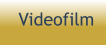 Videofilm